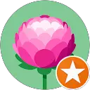 Cake profile picture